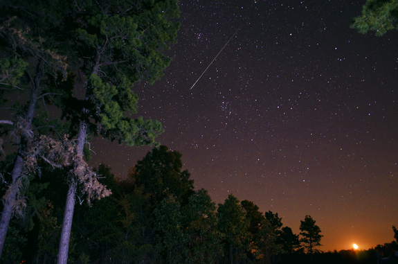 Một[-]vệt[-]sao[-]rơi[-]trong[-]trận[-]mưa[-]sao[-]băng[-]Perseid[-]ở[-]Arkansas,[-]Mỹ.